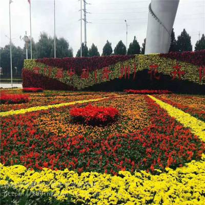 花卉租摆 工厂绿化工程 各种绿化苗木 花卉基地直销&ndash;