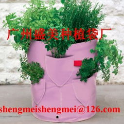 苗木袋供应商 广州盛美花木园林用品厂